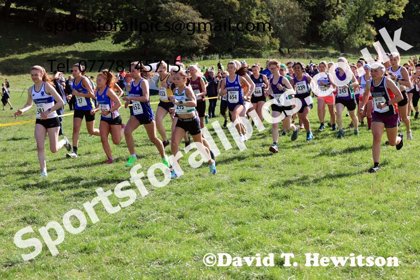 Senior and under-20s women 2024 Start Fitness NEHL, Thornley Hall Farm, Peterlee, Saturday, September 28th.   Photo: David T. Hewitson/Sports for All Pics